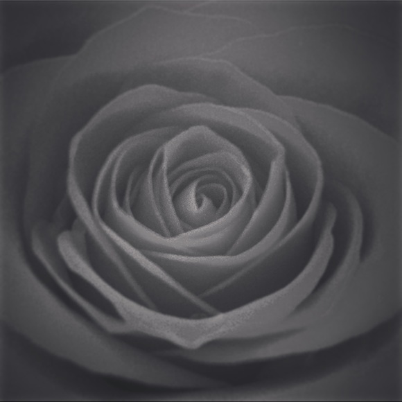 Meet your Posher, Angela - Picture 1 of 1